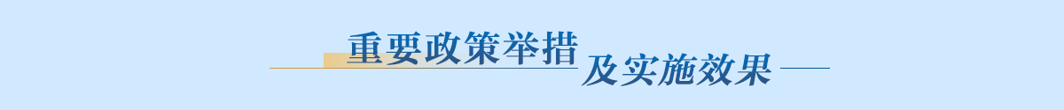 重要政策舉措及實施效果